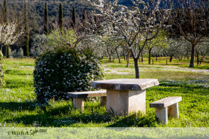 Chianti, Italy