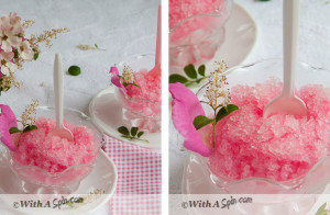 Rhubarb Granita 2